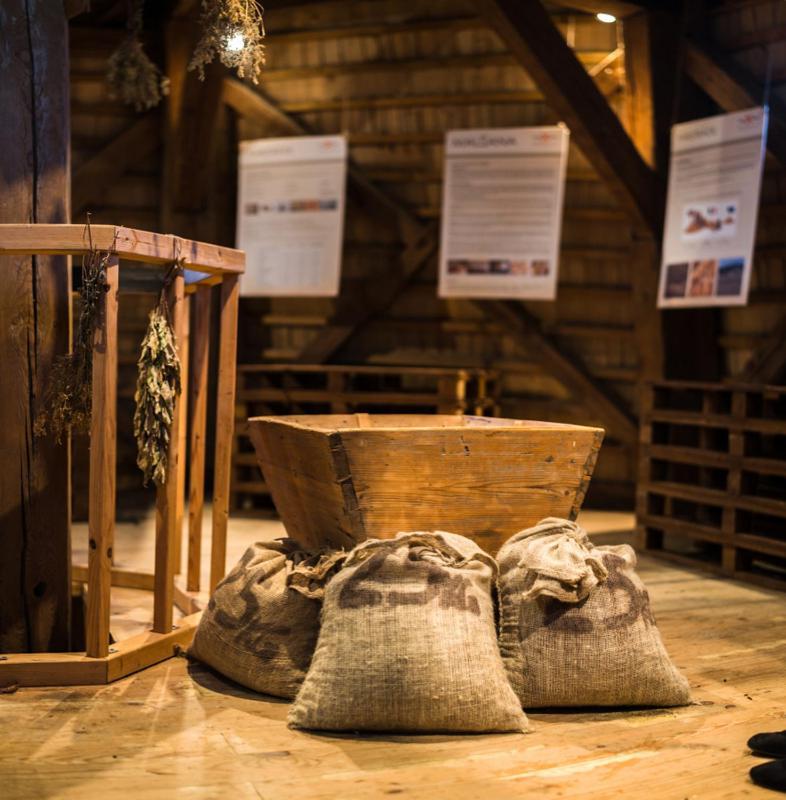 Rozmalas Ceraukste エクステリア 写真